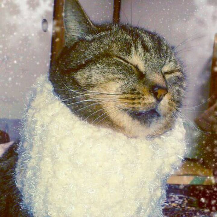 5cd82497 2a11 46c7 983b efe045dd1b51