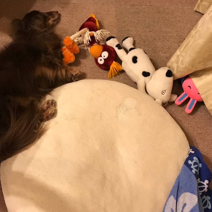 5cd8286b c05e 46ef ace6 cdf1cdafd4da