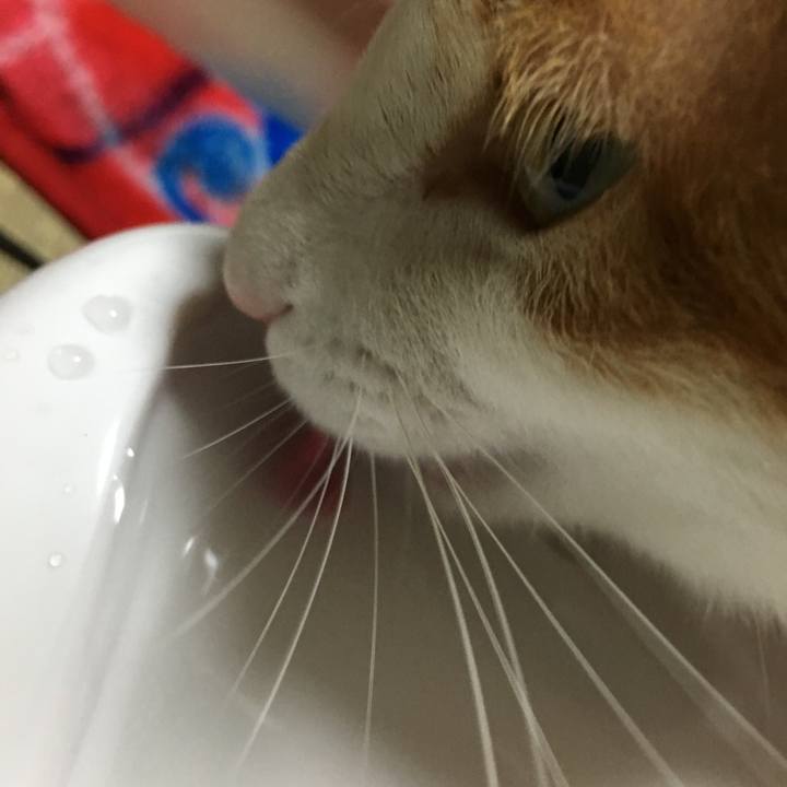 5cd8cadc 9cbe 44e4 826f e9a819fbb432