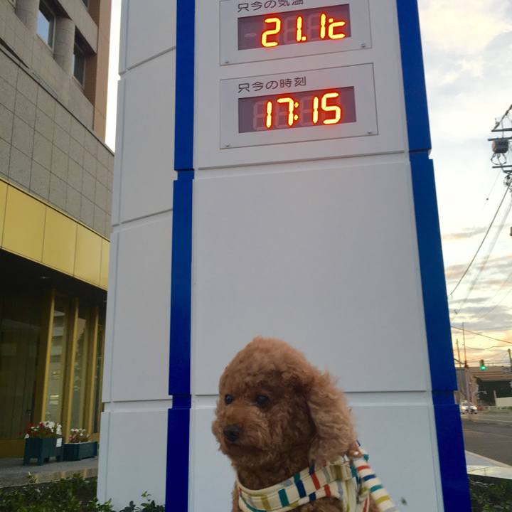 5cd94f15 4bff 4476 8a6e a3111265f024