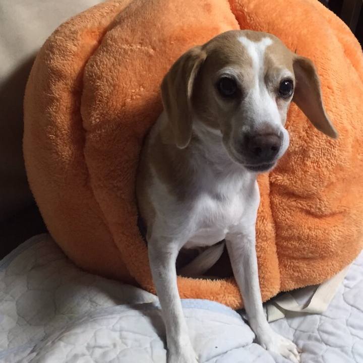 5cd970c9 c3b1 4c20 8943 cd9059aea895