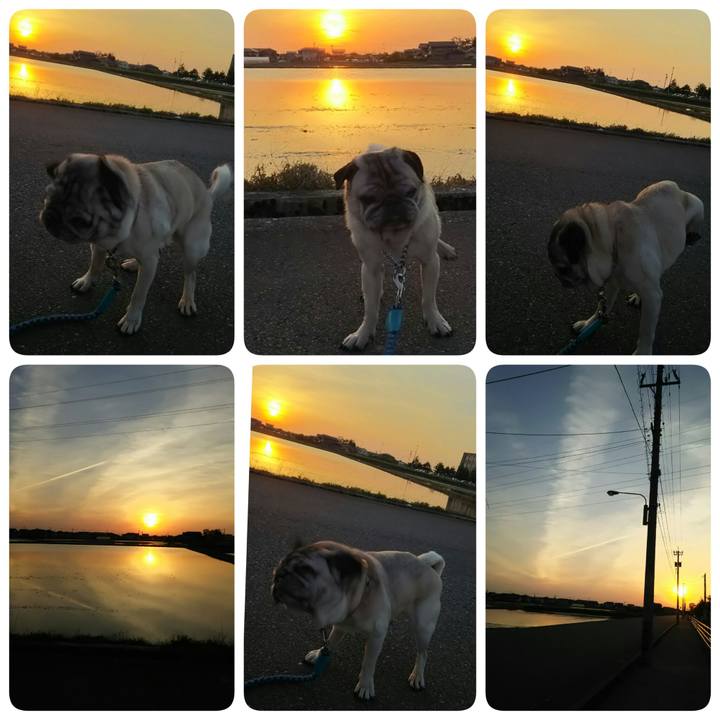 5cd9ac3a 2091 4852 8a28 04d46319aa4c