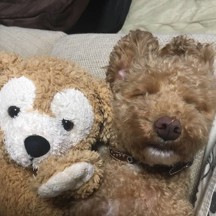 5cdb1b0c 1d93 4906 8ecb 0d5622498e04