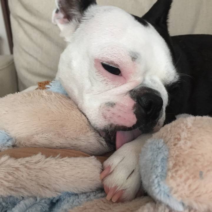 5cdb2a7b cce1 4c5d ba29 fb37cb146901