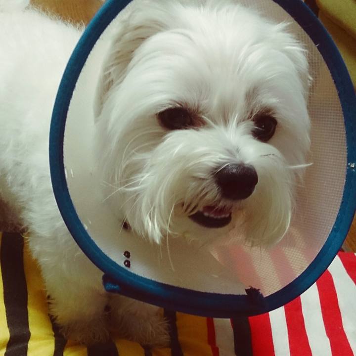 5cdb54a1 199c 45e4 88fd 4c42e402c2a4