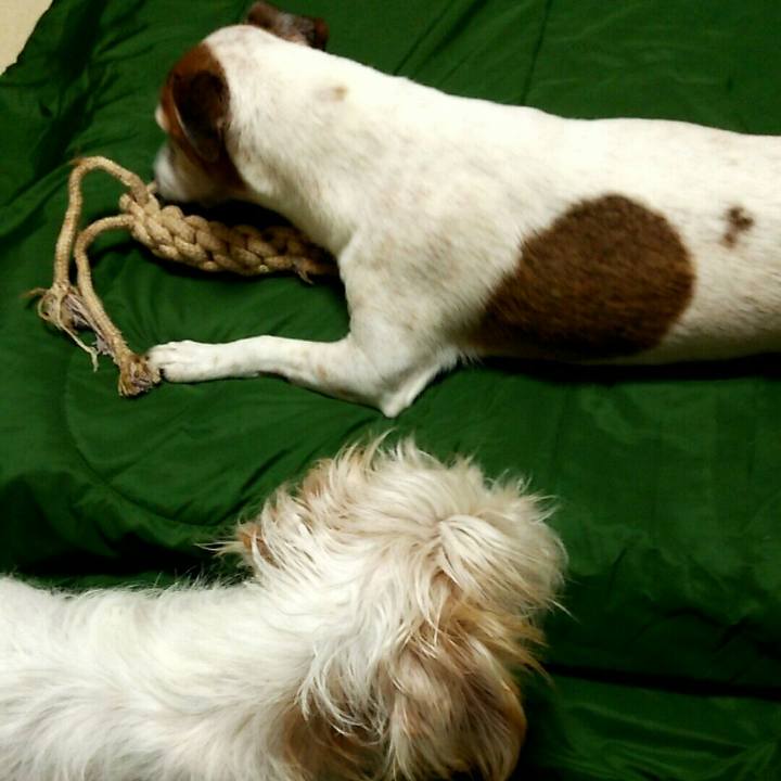 5cdbb016 d9e7 45bb 92d2 8de59bbf7122