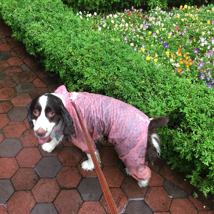 5cdbb7b9 40c7 49fb b1f3 6b039e29afaf