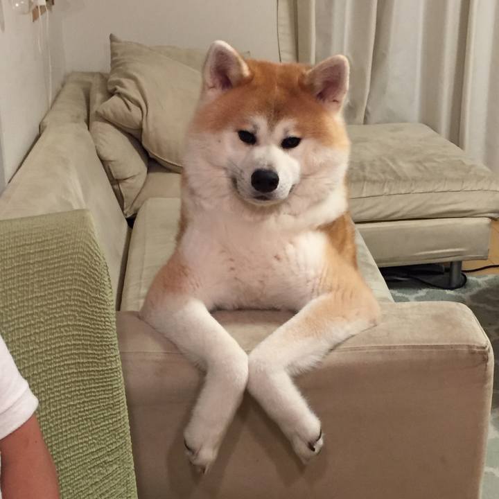 5cdbd207 0136 4f61 bfd9 ab0beba3495d