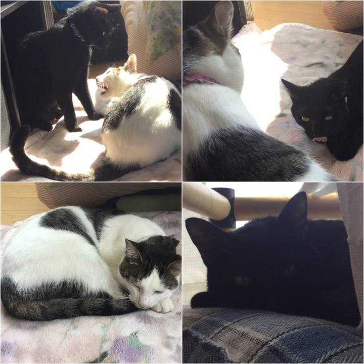 5cdbd335 5e28 45e0 8ddb 98c368fb734a