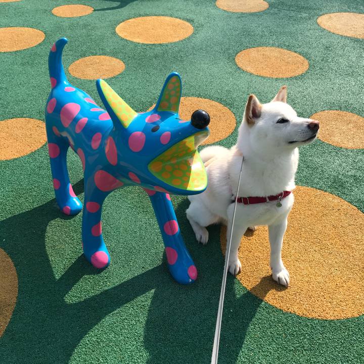 5cdbe405 d98a 4401 b2f8 d8fc4eba75a0