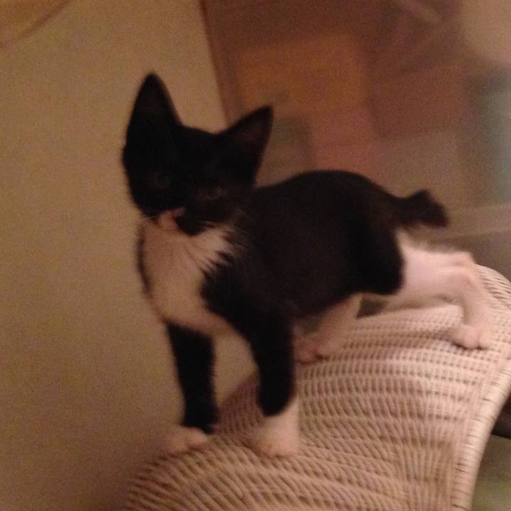 5cdc9787 d2bf 4370 b0c1 927037cc8771