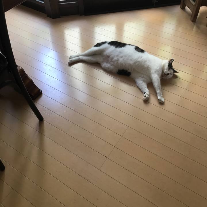 5cdc9e61 7053 4fe9 b17e b43678136f42