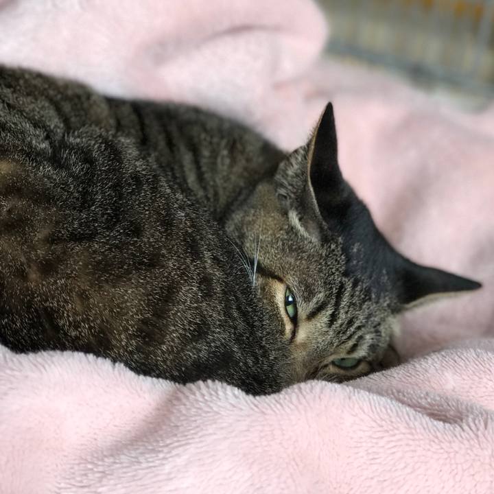 5cdd85b6 8b94 4de4 a6f5 969d3ecfd626