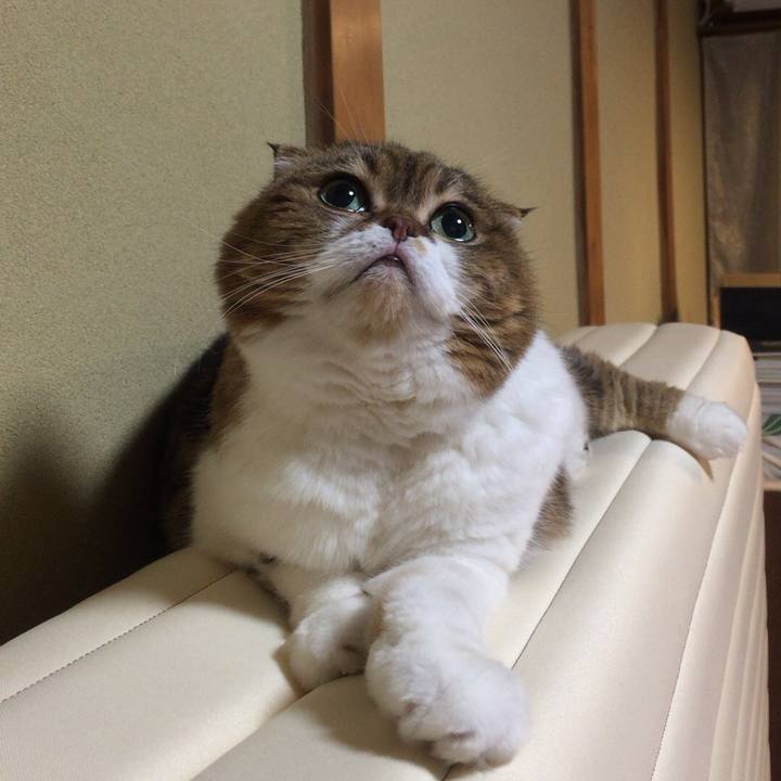 5cdd929f 8dec 4a39 bbbb 6e6e83f71d14