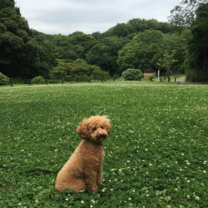 5cde1896 daec 47f3 a936 f83452213d38