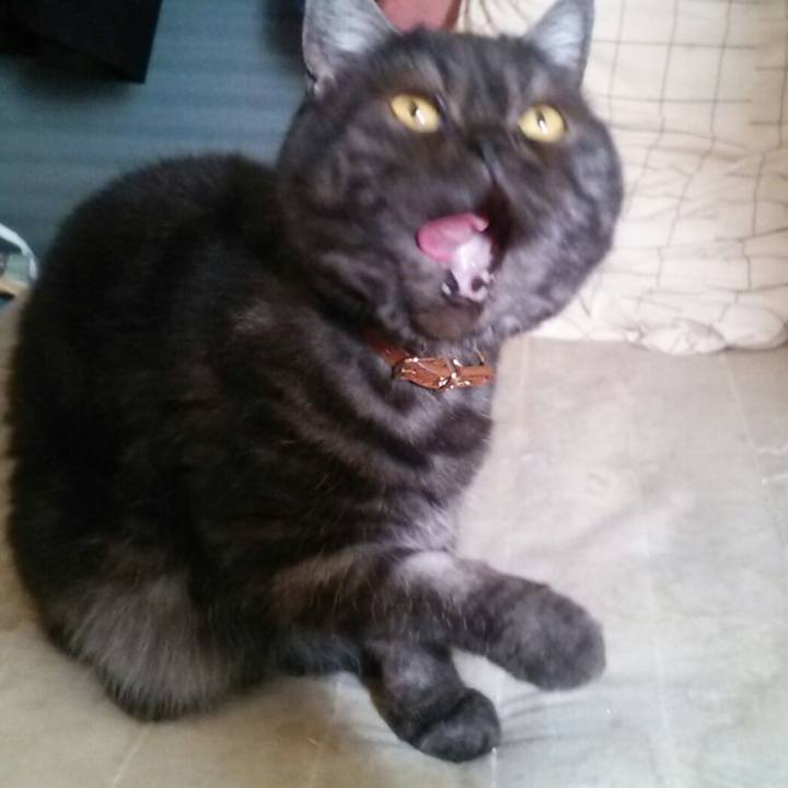 5cdea0eb 7efa 4bc5 8493 8149ac055426