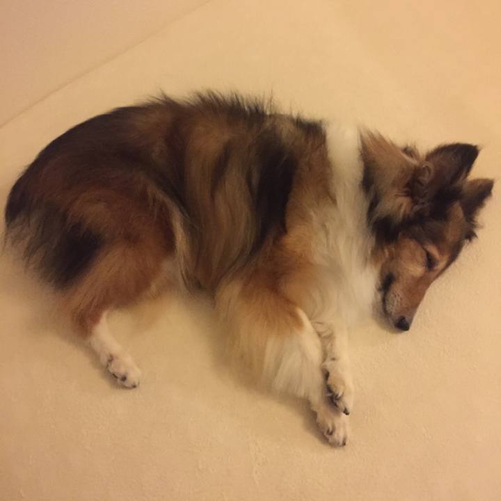 5cdecb79 b209 40bf 9ec4 a69991476b2d