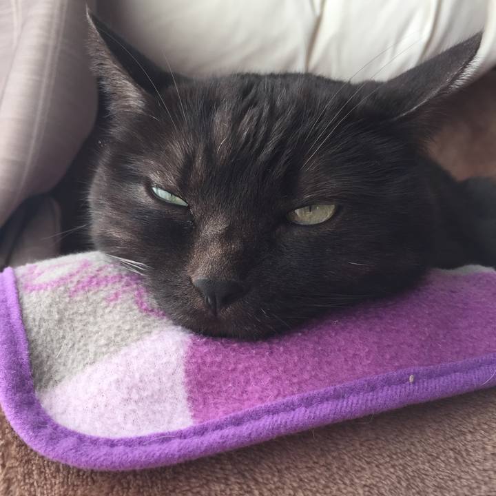 5cdf86a8 b654 426f a615 12fac3a660be