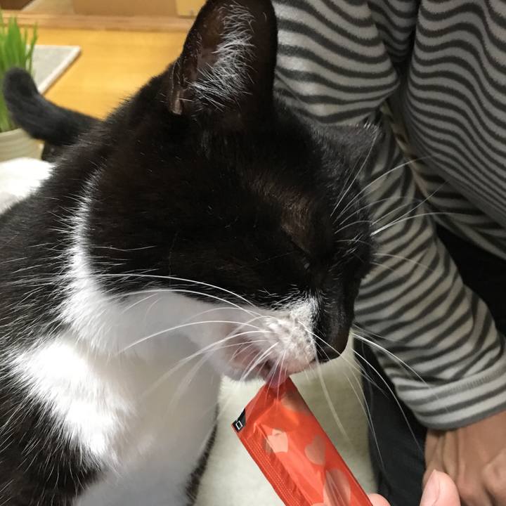 5ce00b54 9ec5 426a 97d1 ed4ab3de447a