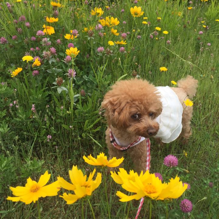 5ce0c402 c749 4e76 aeb3 5caa6fce2f07