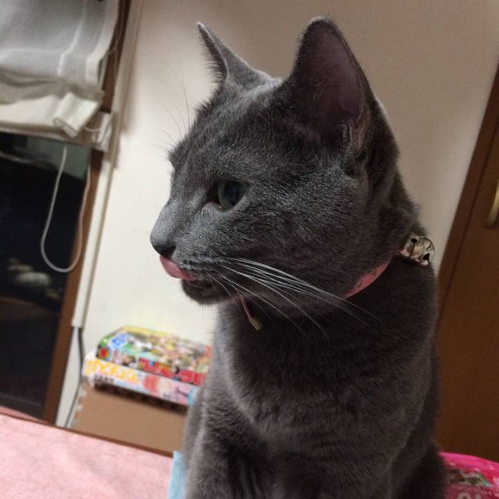 5ce145e8 845e 45d4 a35f 6747bf151a00