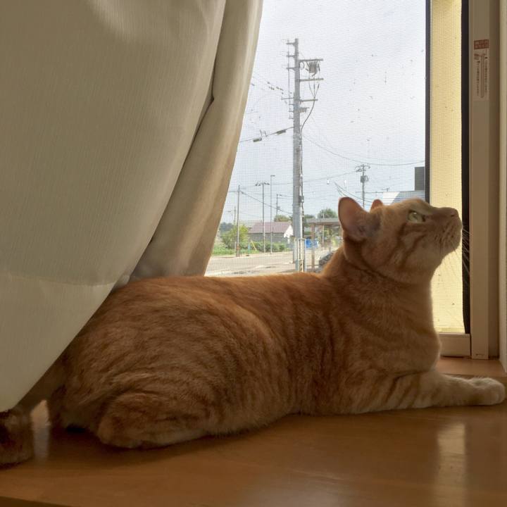 5ce2ca7c 1d2a 4d2d 9725 e53d7977bad7