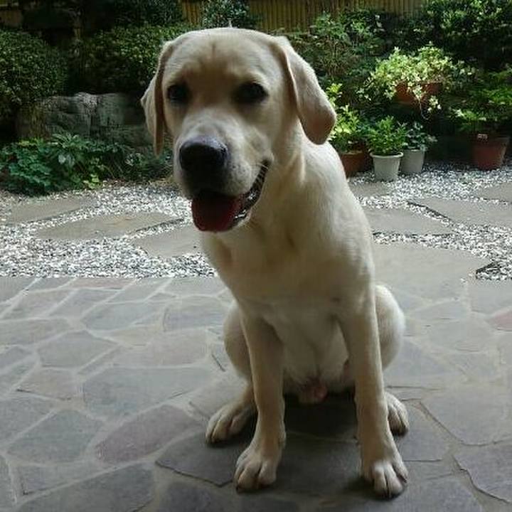 5ce357ba 55f7 4f35 a20c 7c1fc5658c2d