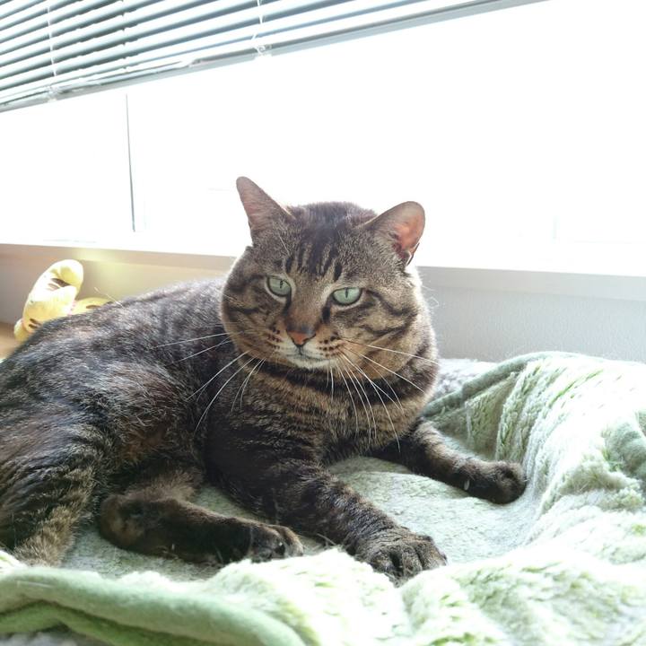 5ce43a08 148d 4532 b961 482b4ab01b8e