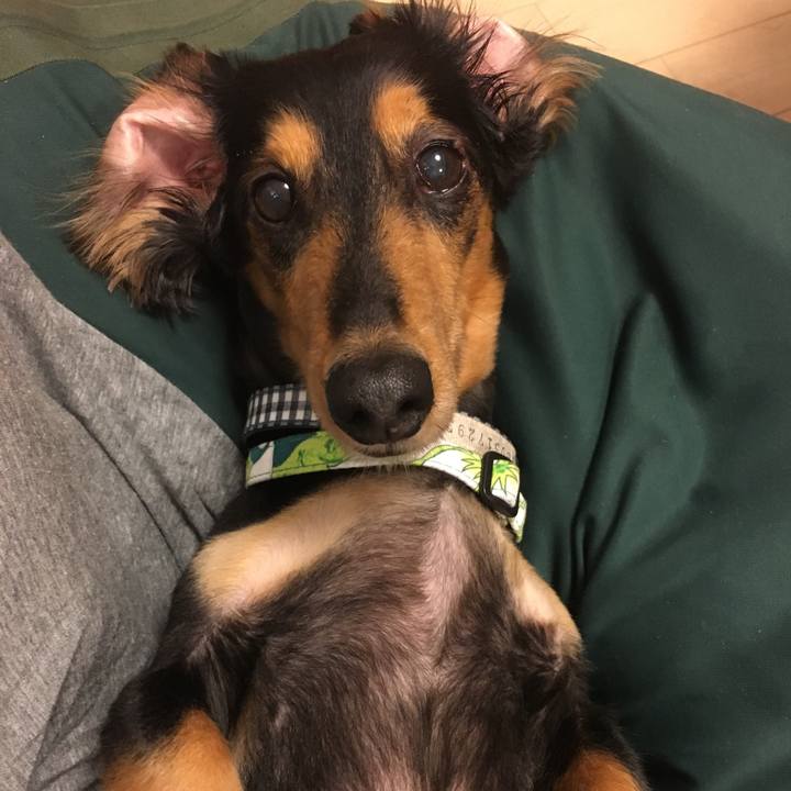 5ce43d3f 3f67 41b5 85bf c65b8dda94b4