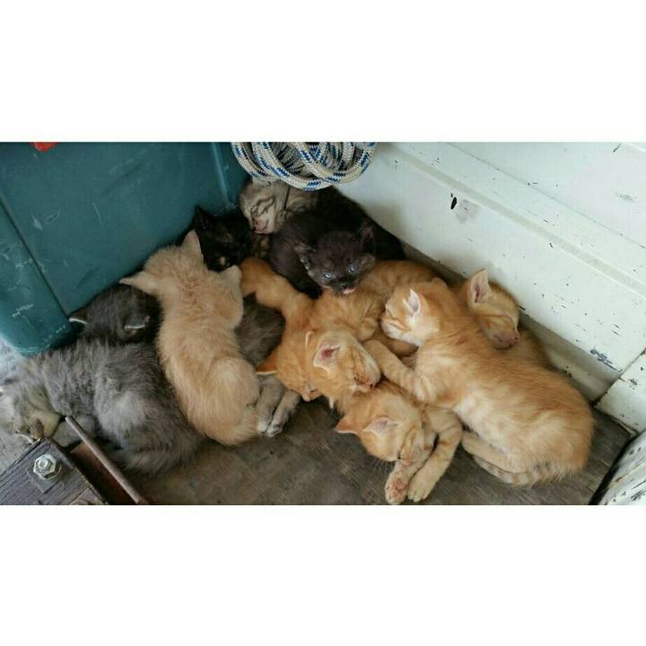 5ce49803 53da 47a7 800f ef8cd9fab3d7