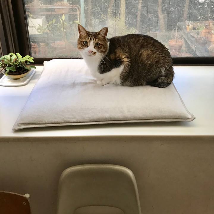 5ce4fbb8 baba 4d57 b3be 05a742bda83e