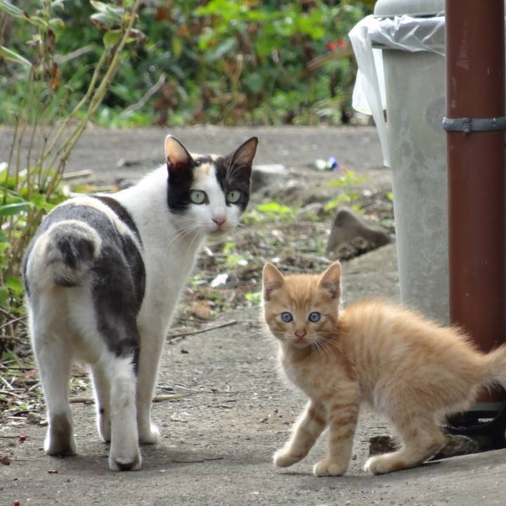 5ce5093d 89a7 4fab aeb2 5b88a037380f