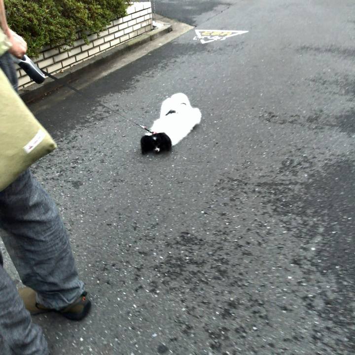 5ce612f8 9bd2 4eec bd4e 455ca3930f06