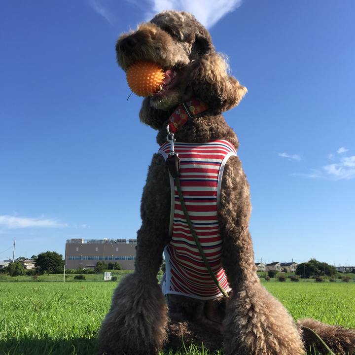 5ce62305 308d 4bdc aa52 0b85f059ad8c