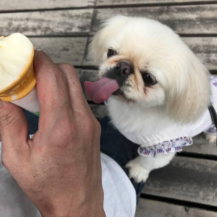 5ce62e3e af78 40f4 bfc4 33870c4fac94