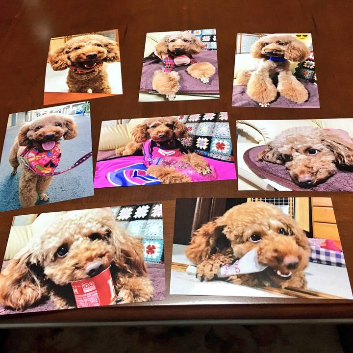 5ce67ca7 357b 46dd 909e c709cc4734fd