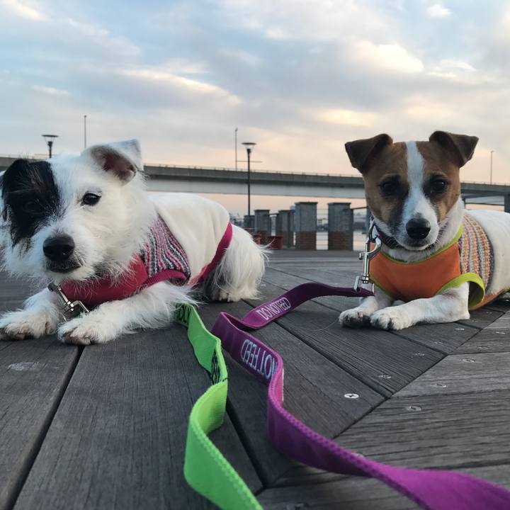 5ce6ef19 da25 48f5 ab69 d50b5346bb69