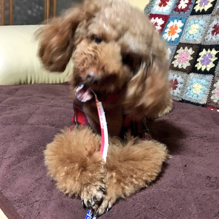 5ce76a97 1ad0 45b2 a0c4 d743bef59031