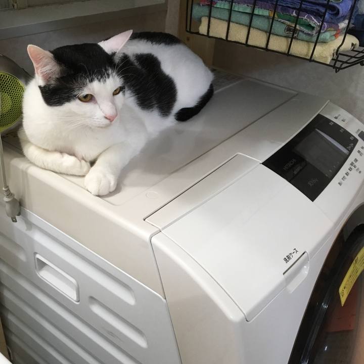 5ce7f3d8 2e5e 4f4a b4c5 4c441a425e7c