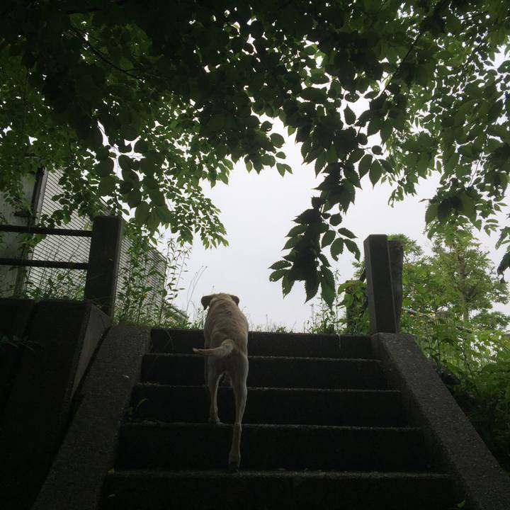 5ce85f58 be42 4d4d 90f3 dc86f128062a