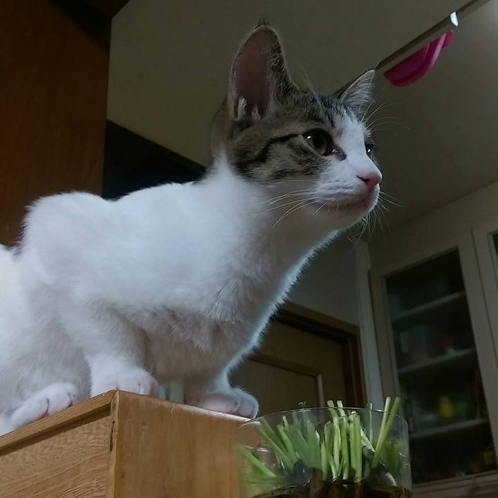 5ce8f6ef 016b 4375 a13c 8a1e931858a2