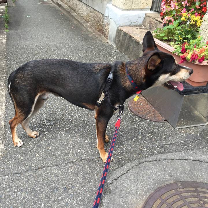 5ce98495 6504 4049 a2a6 85e335c2c064