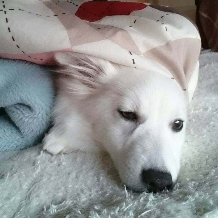 5cea443e 4034 4abc 9c52 64685dd9faf7