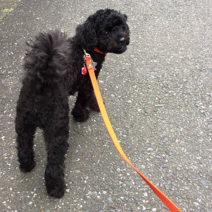 5ceb24bd bdd7 47ef b8dd 9a53d46771ee