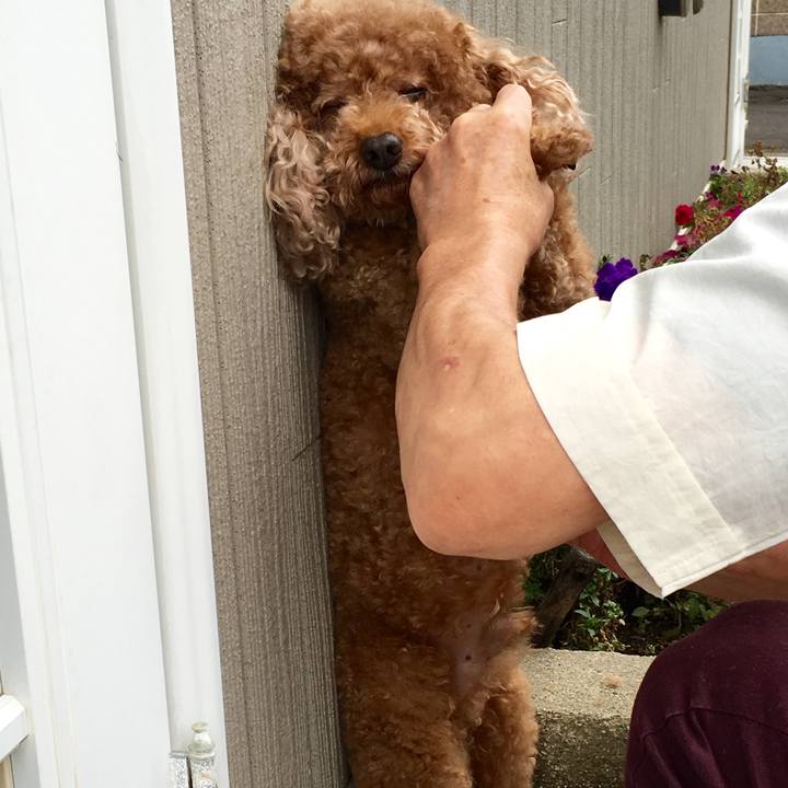 5ceb59f4 256f 4567 8954 43f5726a873b