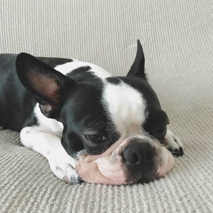 5ceb622f ba63 4ece add6 02456f298d56