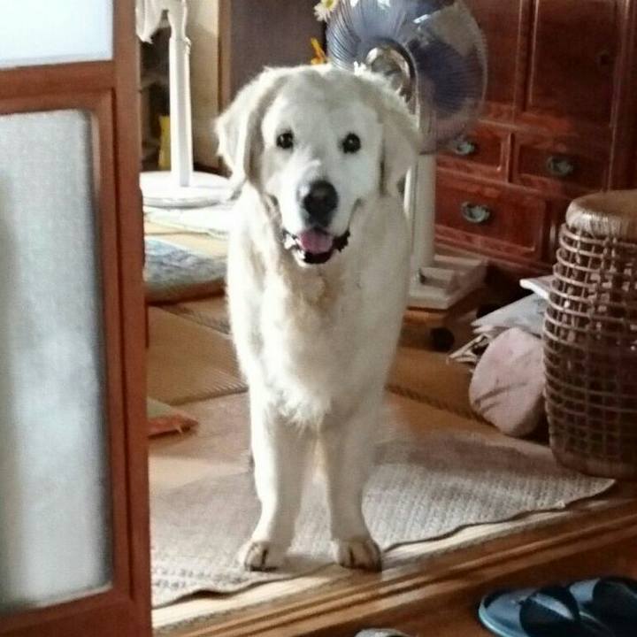 5ceb6f44 eda1 409d a83e 70ef789e1a0a