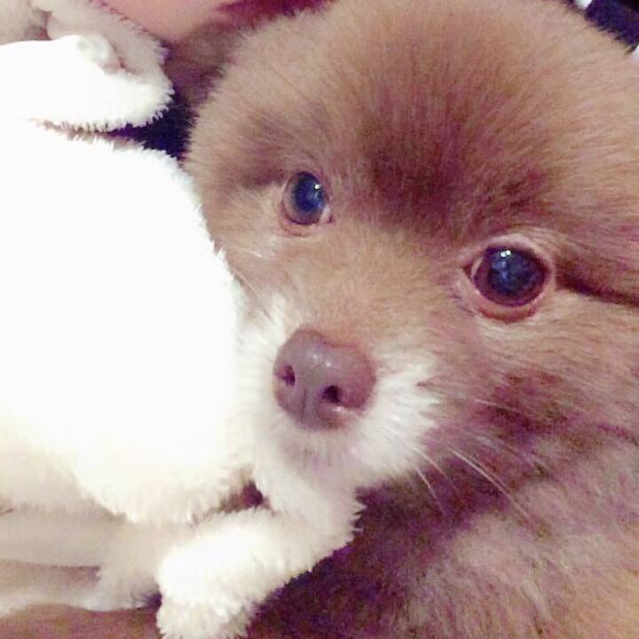 5ceb853a 5e78 4ded b560 5822b92e840d