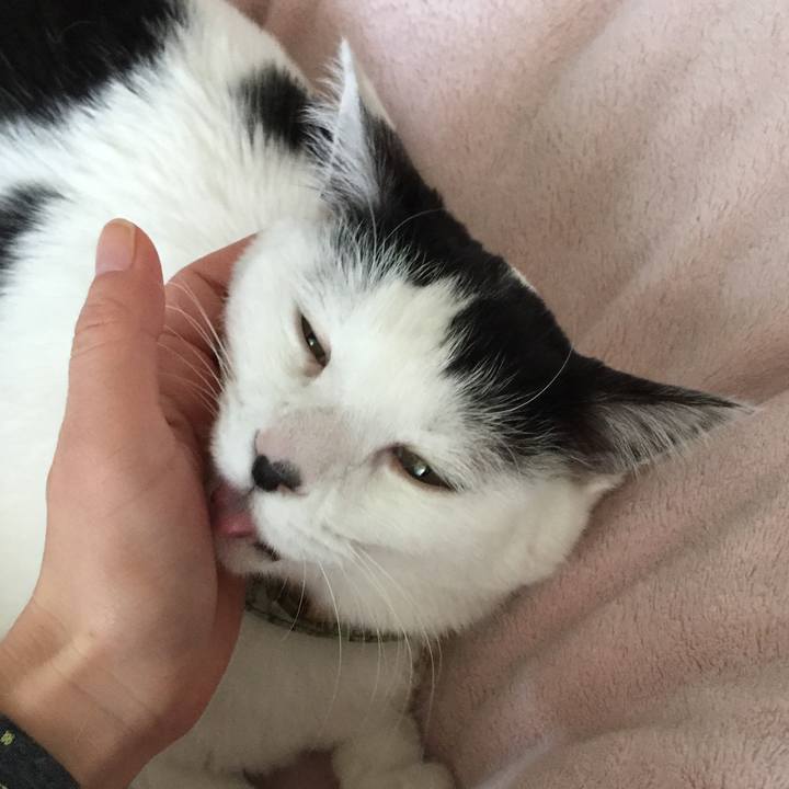 5cec7ab8 e04a 4f81 9666 bded8578cfb5