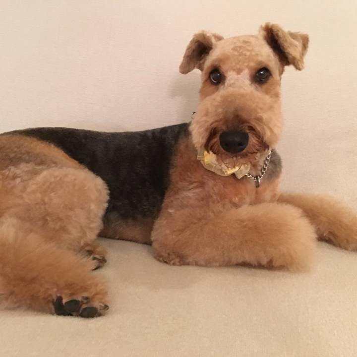 5cecac3c aa67 401c b024 efe3b8b15dfd